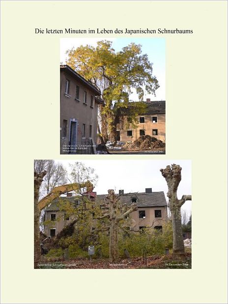 Margaretenhof 059